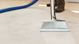 Carpet cleaning wand head gliding over a light carpet during hot-water extraction, Stamford, CT.