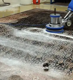 Professional rug cleaning with a rotary floor machine and shampoo foam, deep-cleaning an area rug Stamford, CT.